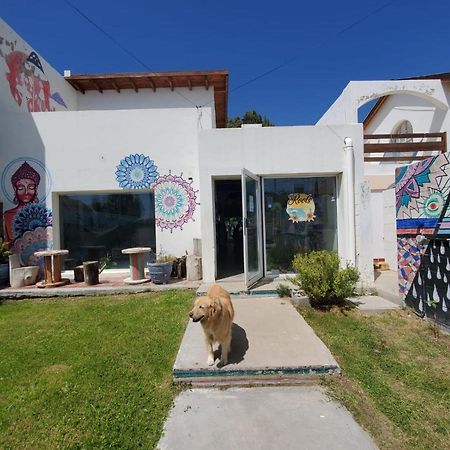 Roots Backpackers Hostel Rada Tilly Exterior photo