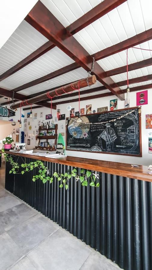 Roots Backpackers Hostel Rada Tilly Exterior photo