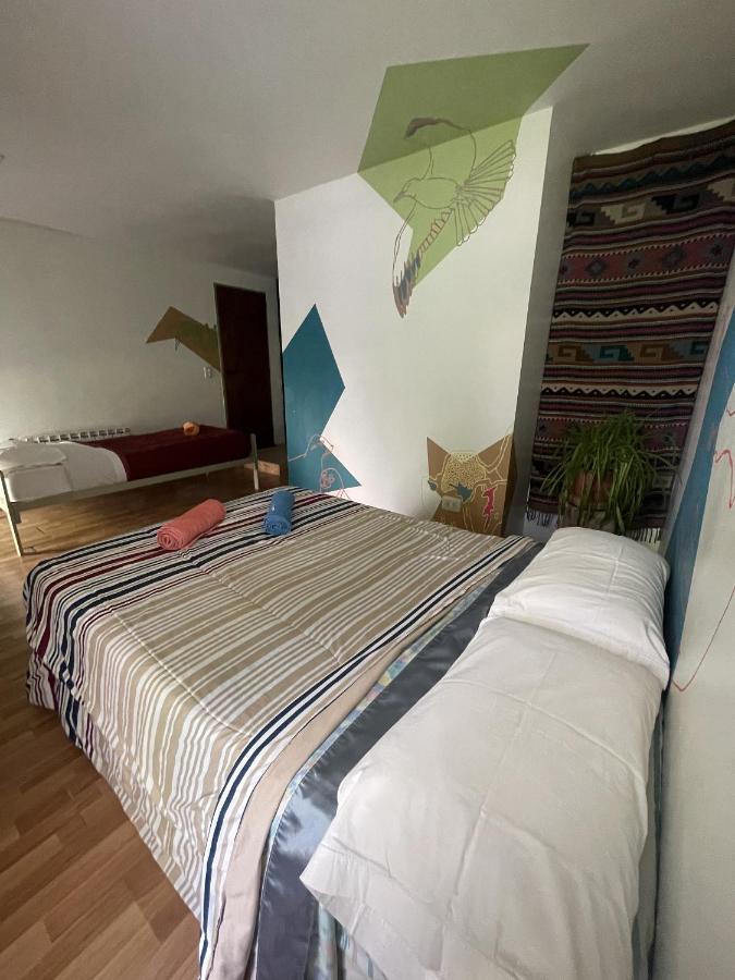 Roots Backpackers Hostel Rada Tilly Exterior photo