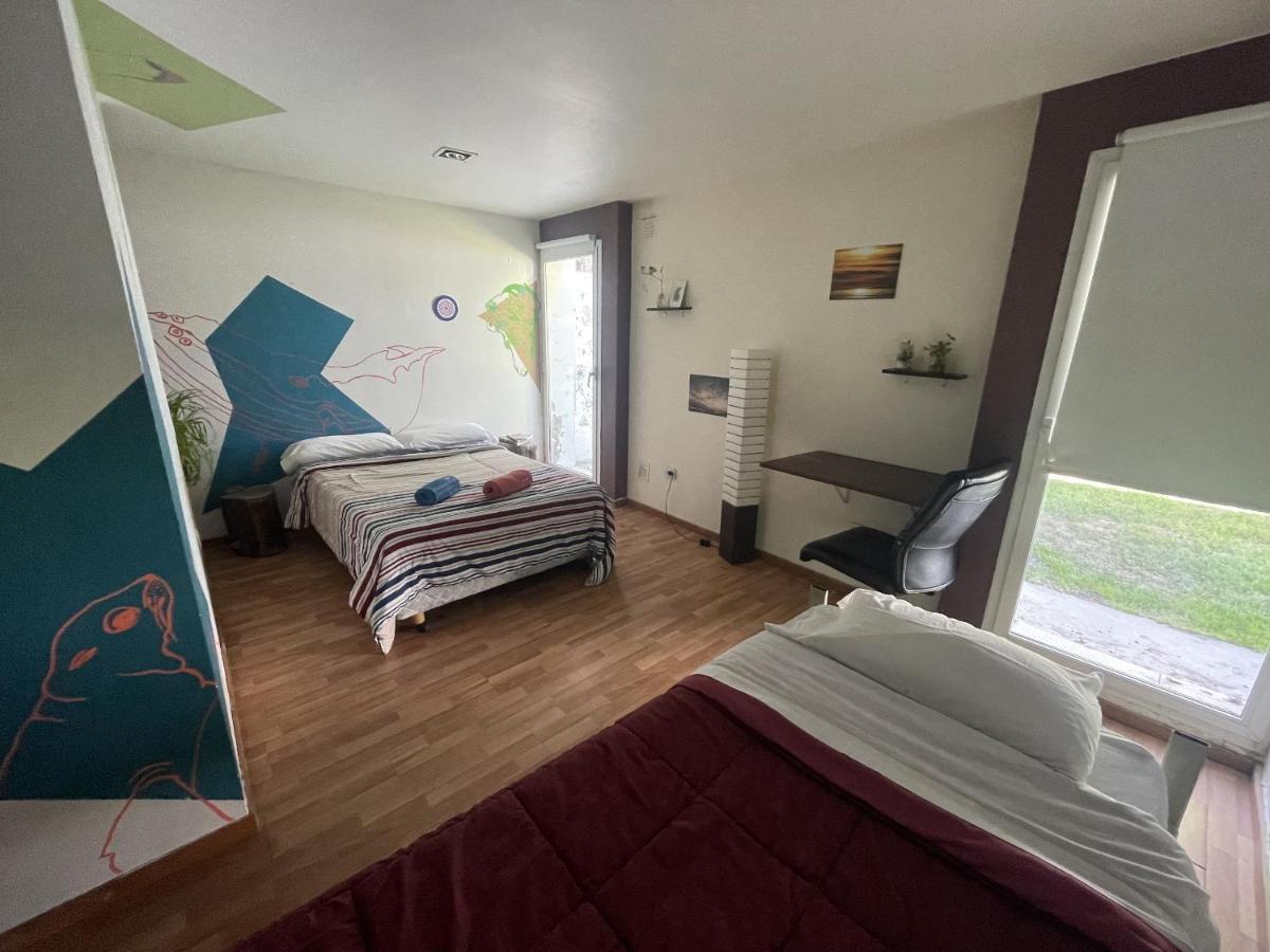 Roots Backpackers Hostel Rada Tilly Exterior photo